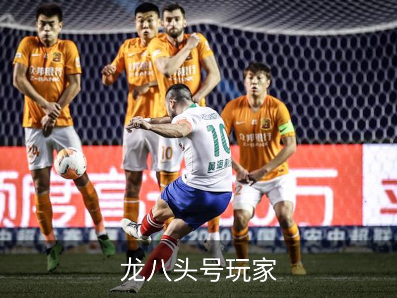 关于龙八头号玩家
